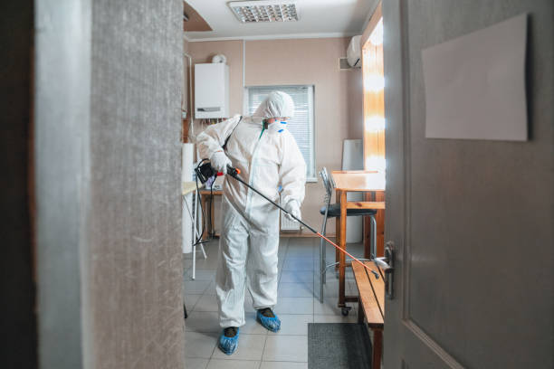 Best Commercial Mold Inspection  in Dallas Center, IA